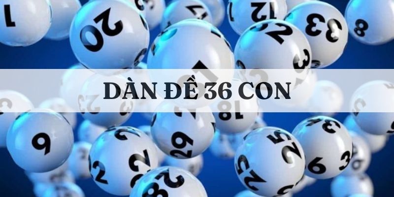 dan-de-36-con